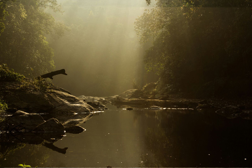 Manampalli Nature Place